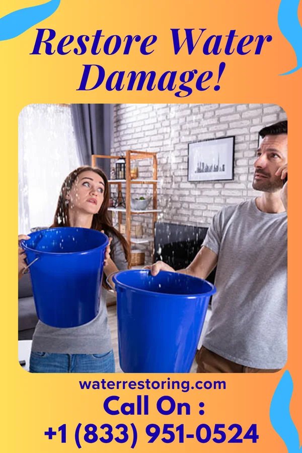 water restoration Priority Water Damage Co Friendswood
