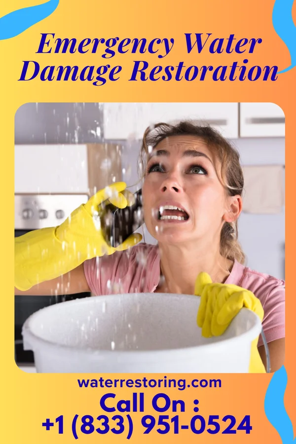 Emergency Water Damage Restoration in Friendswood, TX