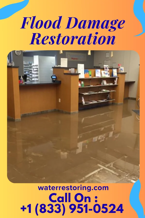 Flood Damage Restoration in Friendswood, TX