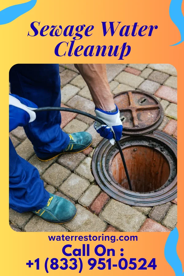 Sewage Water Cleanup in Friendswood, TX