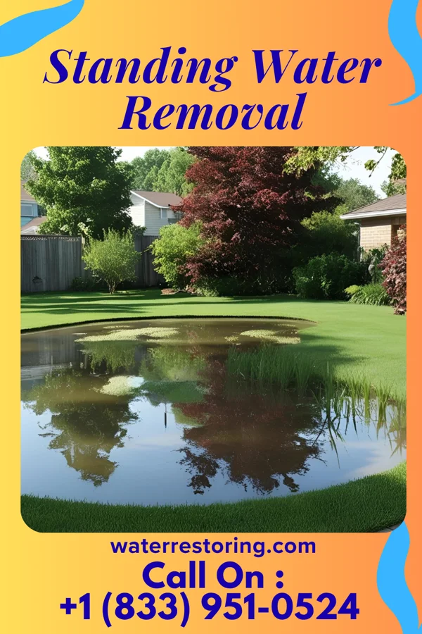 Standing Water Removal in Friendswood, TX